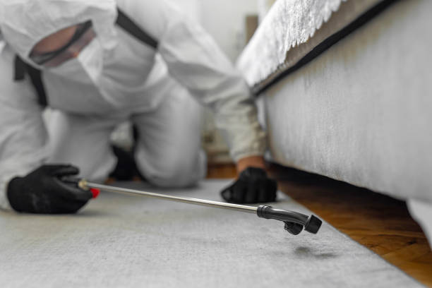 Professional Bed Bug Control technician working in Moundsville, WV