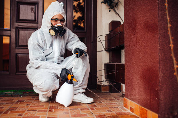 Reliable Bed Bug Control contractor in Moundsville, WV by Nex Pest Control