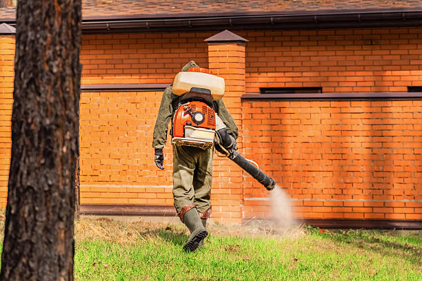 Trusted Termite Control service in Moundsville, WV - Nex Pest Control